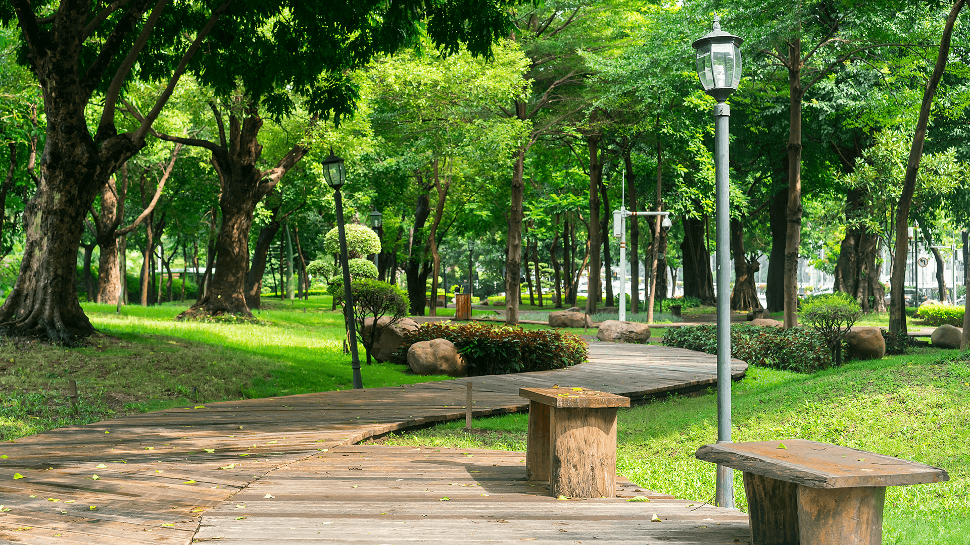 Web banner