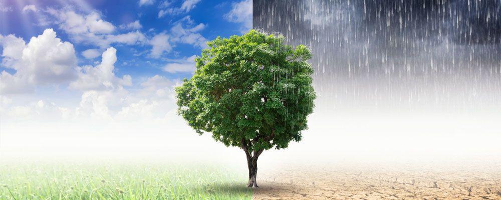 Mitigate Climate Change Impacts