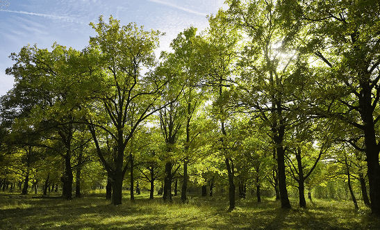 construction updates