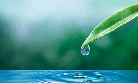 construction updates