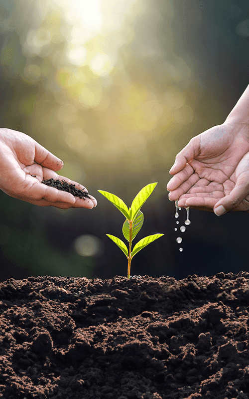 /uploads/hand_watering_plants_female_hand_holding_tree_nature_field_grass_forest_conservation_concept_Desktop_2b8fd90e2c.png