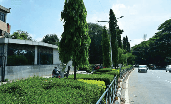 construction updates