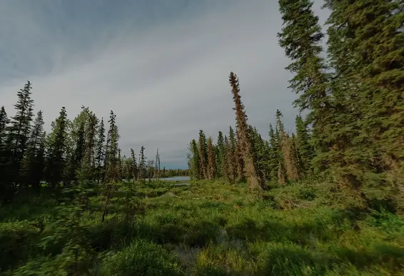 apartments in Huskur Road Bangalore
