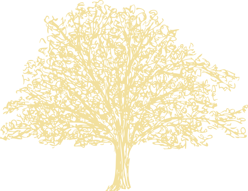 luxury apartments in north bangalore