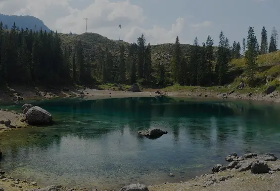 premium apartments in Electronic City
